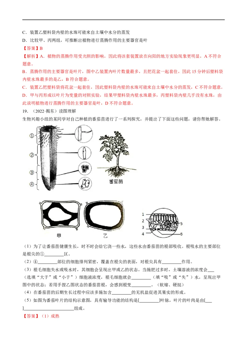重难点04生物圈中的绿色植物（一）-2023年中考生物热点&middot;重点&middot;难点专练（全国通用）（解析版）_6生物中考复习_2023年中考复习资料_专项复习