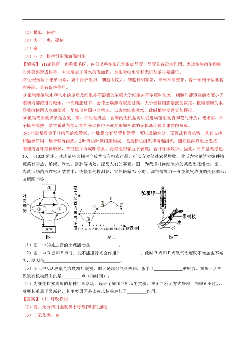 重难点04生物圈中的绿色植物（一）-2023年中考生物热点&middot;重点&middot;难点专练（全国通用）（解析版）_6生物中考复习_2023年中考复习资料_专项复习