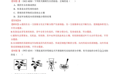 重难点04生物圈中的绿色植物（一）-2023年中考生物热点&middot;重点&middot;难点专练（全国通用）（解析版）_6生物中考复习_2023年中考复习资料_专项复习