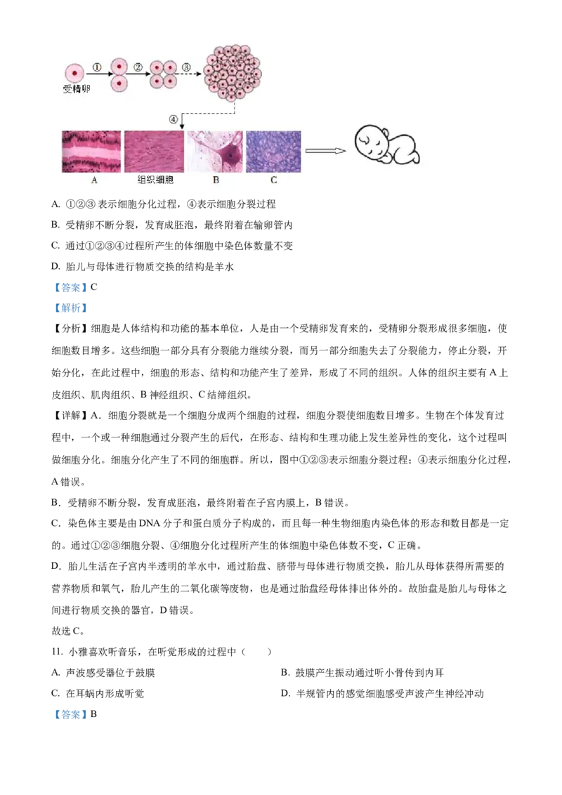 精品解析：2022年湖南省娄底市中考生物真题（解析版）_6生物中考复习_2025中考复习资料_中考真题（近三年）_2022年生物中考真题114份_精品解析：2022年湖南省娄底市中考生物真题