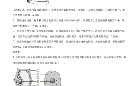 精品解析：2022年湖南省娄底市中考生物真题（解析版）_6生物中考复习_2025中考复习资料_中考真题（近三年）_2022年生物中考真题114份_精品解析：2022年湖南省娄底市中考生物真题