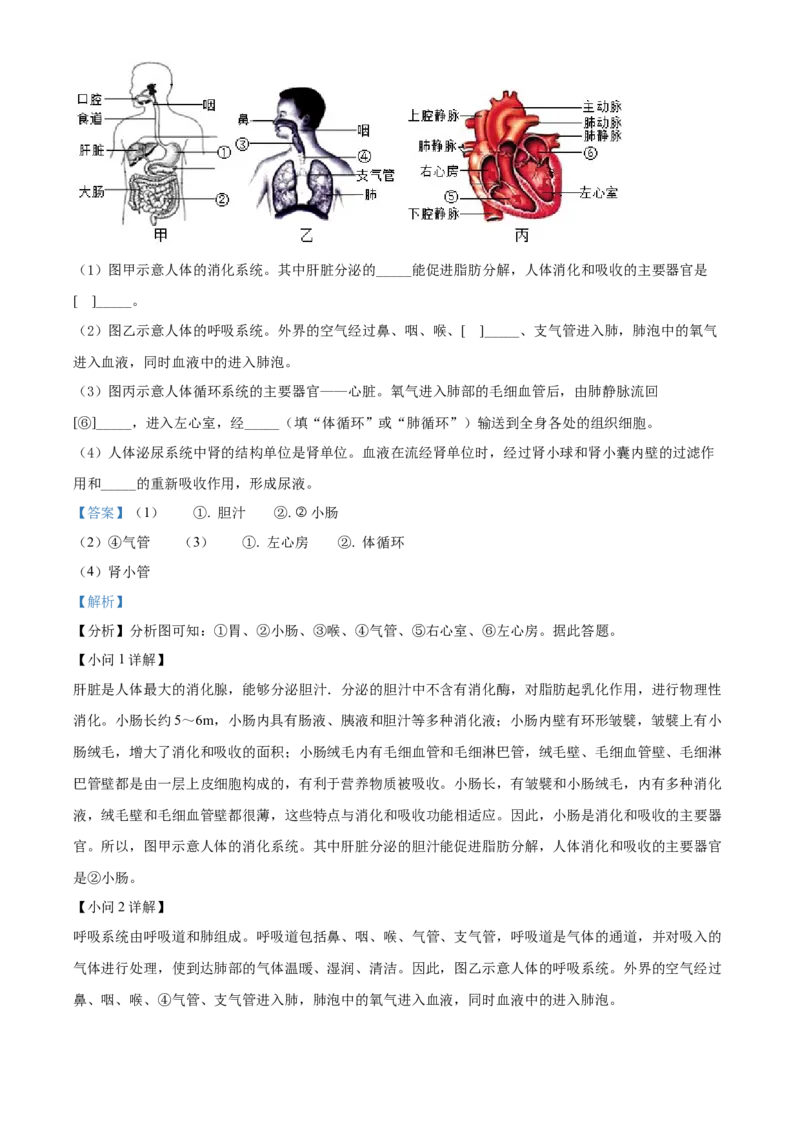 精品解析：2022年辽宁省大连市中考生物真题（解析版）_6生物中考复习_2025中考复习资料_中考真题（近三年）_2022年生物中考真题114份_精品解析：2022年辽宁省大连市中考生物真题