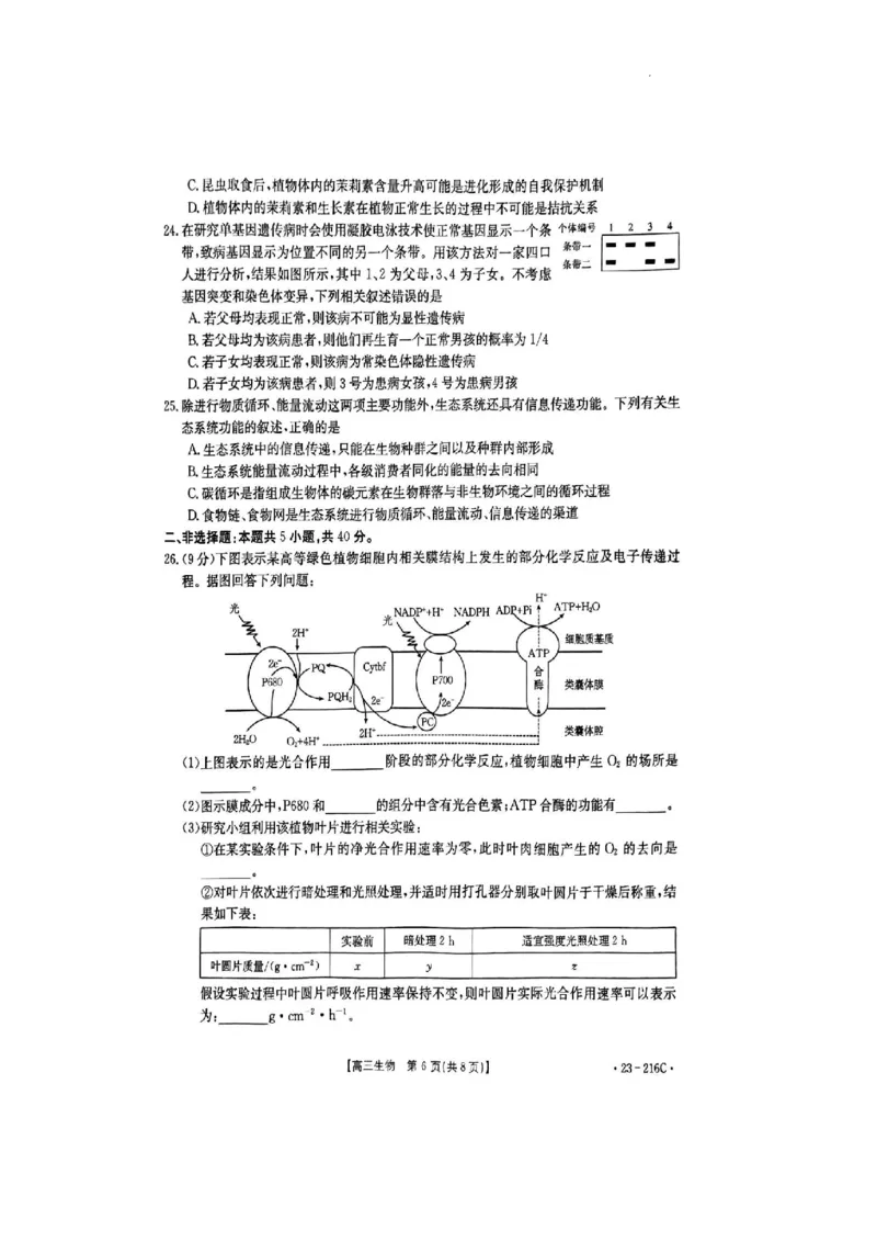 驻马店市2022-2023学年度高三年级期末统一考试生物试卷_生物高考模拟题_新高考_2023年_河南省驻马店市2022-2023学年高三上学期1月期末生物