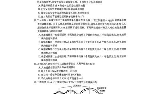 驻马店市2022-2023学年度高三年级期末统一考试生物试卷_生物高考模拟题_新高考_2023年_河南省驻马店市2022-2023学年高三上学期1月期末生物