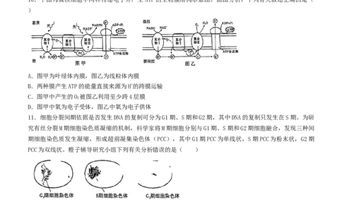 重庆市高2023届高三上学期第一次质量检测生物含答案_生物高考模拟题_新高考_2023年