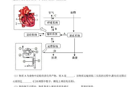 精品解析：2022年湖北省恩施州中考生物真题（原卷版）_6生物中考复习_2025中考复习资料_中考真题（近三年）_2022年生物中考真题114份_精品解析：2022年湖北省恩施州中考生物真题