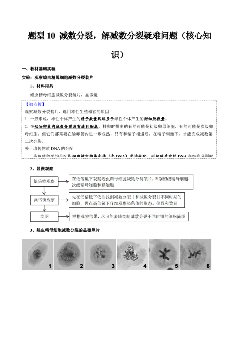 题型10减数分裂，解减数分裂疑难问题（核心知识）（解析版）_新高考复习资料_2023年新高考复习资料_二轮复习_技巧点拨备战2023年高考生物二轮题型复习讲解286731240