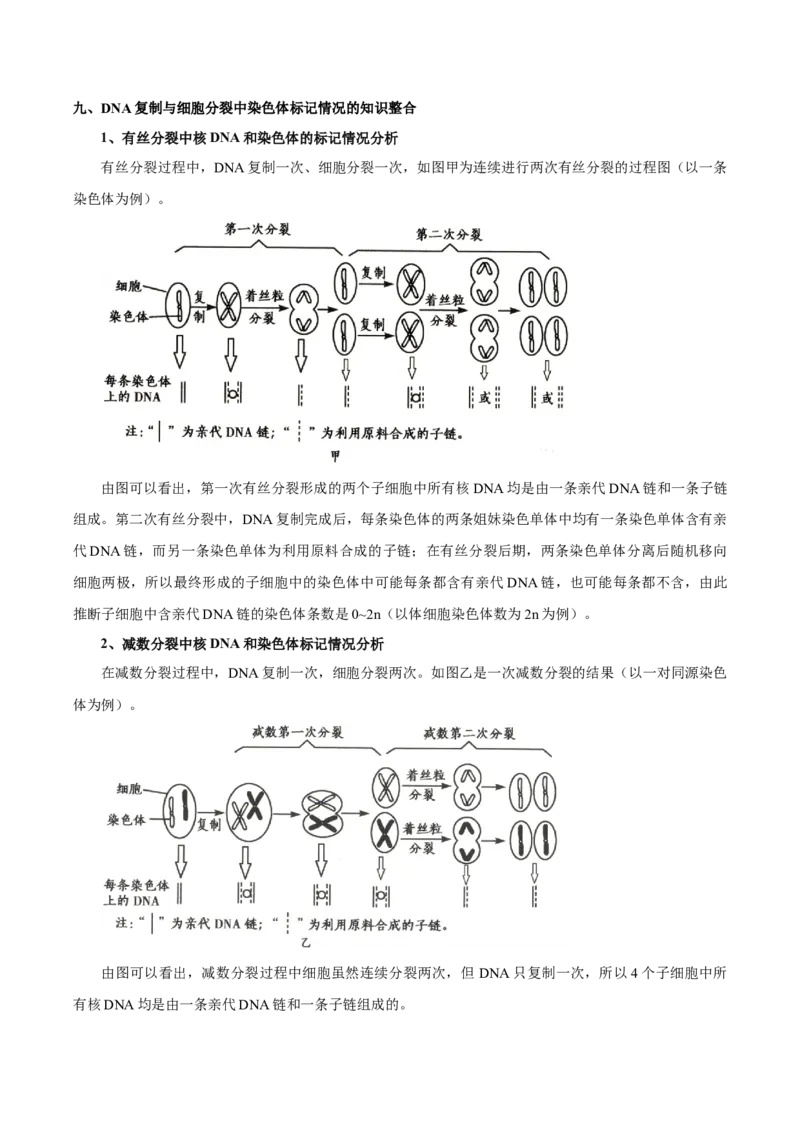 题型10减数分裂，解减数分裂疑难问题（核心知识）（解析版）_新高考复习资料_2023年新高考复习资料_二轮复习_技巧点拨备战2023年高考生物二轮题型复习讲解286731240