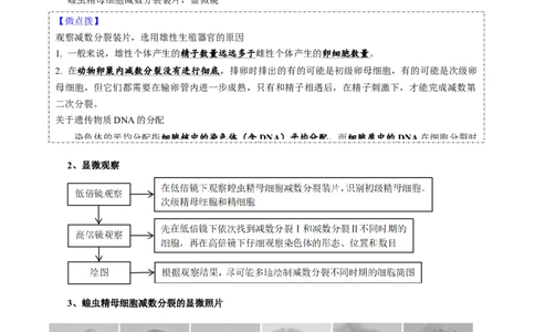 题型10减数分裂，解减数分裂疑难问题（核心知识）（解析版）_新高考复习资料_2023年新高考复习资料_二轮复习_技巧点拨备战2023年高考生物二轮题型复习讲解286731240