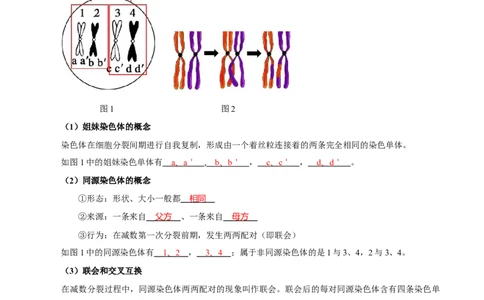 题型10减数分裂，解减数分裂疑难问题（核心知识）（解析版）_新高考复习资料_2023年新高考复习资料_二轮复习_技巧点拨备战2023年高考生物二轮题型复习讲解286731240