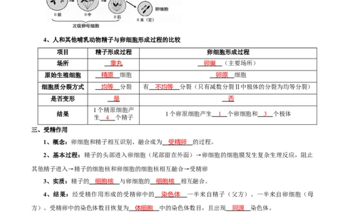 题型10减数分裂，解减数分裂疑难问题（核心知识）（解析版）_新高考复习资料_2023年新高考复习资料_二轮复习_技巧点拨备战2023年高考生物二轮题型复习讲解286731240