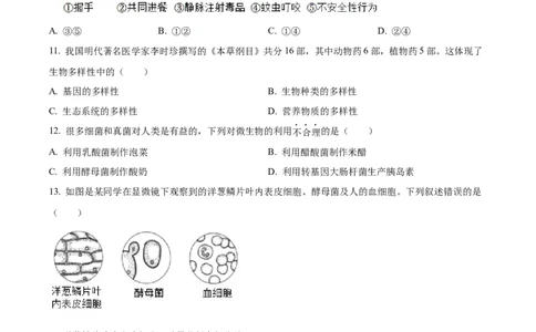 精品解析：2022年湖北省襄阳市中考生物真题（原卷版）_6生物中考复习_2025中考复习资料_中考真题（近三年）_2022年生物中考真题114份_精品解析：2022年湖北省襄阳市中考生物真题