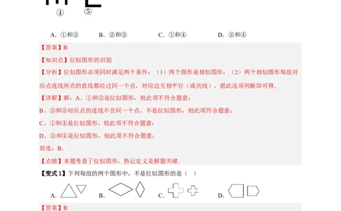 专题03位似八大考点+知识串讲-2026年中考数学总复习重难考点强化训练（全国通用）(解析版）_中考复习资料_语数英物化_2数学中考复习_2026年中考复习（更新中）