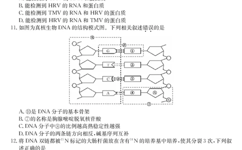 青海省西宁市大通县2023-2024学年高一下学期期末联考生物试题_2024年07月试卷_0729青海省西宁市大通县2023-2024学年高一下学期期末联考