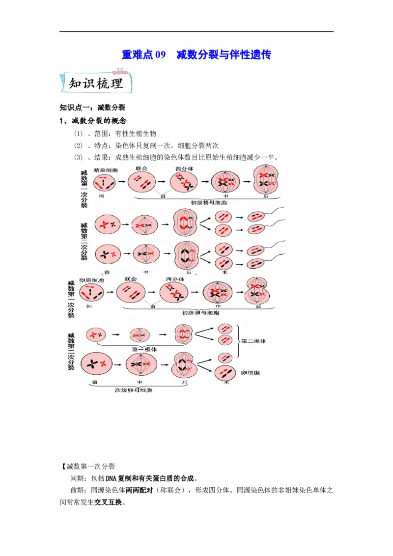 重难点09减数分裂与伴性遗传（原卷版）_通用版（老高考）复习资料_2023年复习资料_专项复习_2023年高考生物热点&middot;重点&middot;难点专练（全国通用）