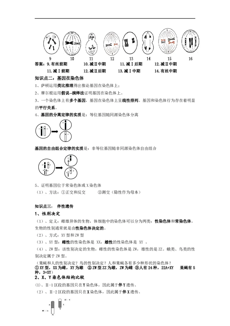 重难点09减数分裂与伴性遗传（原卷版）_通用版（老高考）复习资料_2023年复习资料_专项复习_2023年高考生物热点&middot;重点&middot;难点专练（全国通用）