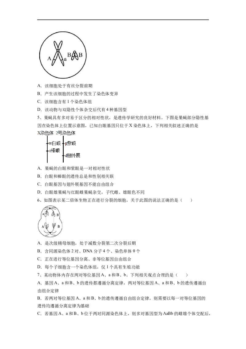 重难点09减数分裂与伴性遗传（原卷版）_通用版（老高考）复习资料_2023年复习资料_专项复习_2023年高考生物热点&middot;重点&middot;难点专练（全国通用）