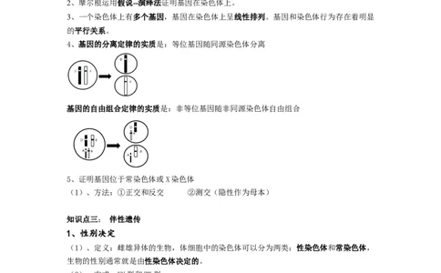 重难点09减数分裂与伴性遗传（原卷版）_通用版（老高考）复习资料_2023年复习资料_专项复习_2023年高考生物热点&middot;重点&middot;难点专练（全国通用）