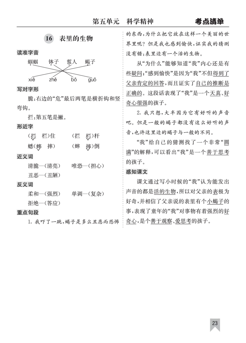 26春六年级语文下册核心考点清单_2026春人教语文《核心考点清单》