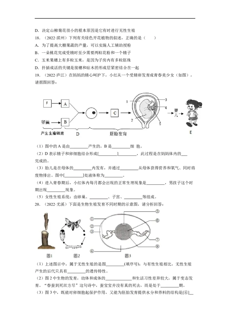 重难点07生物的生殖、发育与遗传变异（一）-2023年中考生物热点&middot;重点&middot;难点专练（全国通用）（原卷版）_6生物中考复习_2023年中考复习资料_专项复习