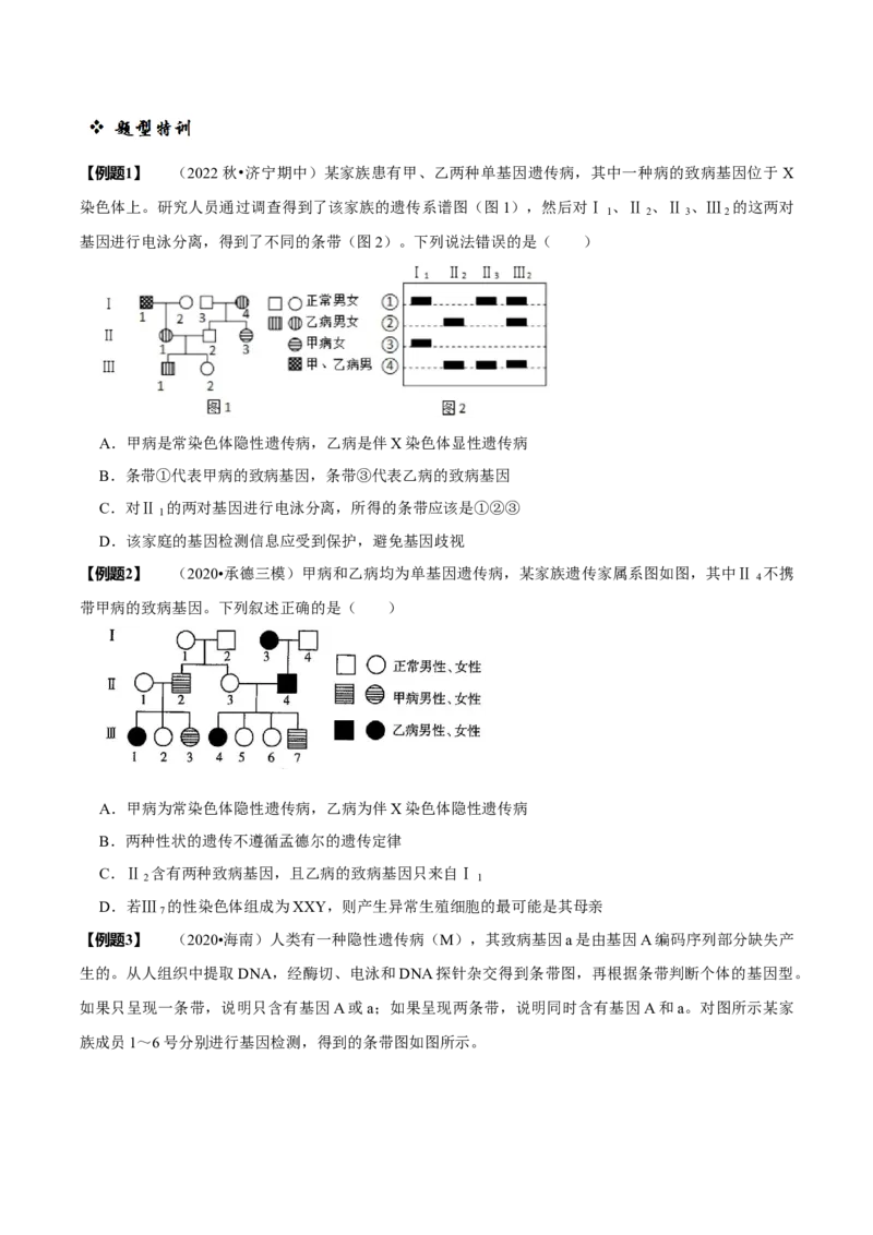 题型13伴性遗传的经典题型（题型归纳）（原卷版）_新高考复习资料_2023年新高考复习资料_二轮复习_技巧点拨备战2023年高考生物二轮题型复习讲解286731240