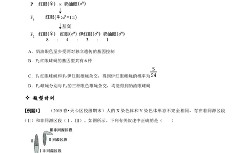 题型13伴性遗传的经典题型（题型归纳）（原卷版）_新高考复习资料_2023年新高考复习资料_二轮复习_技巧点拨备战2023年高考生物二轮题型复习讲解286731240