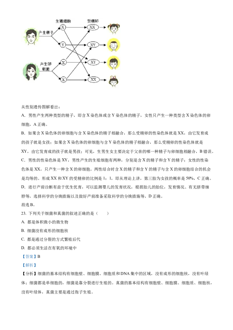 精品解析：2022年湖南省益阳市中考生物真题（解析版）_6生物中考复习_2025中考复习资料_中考真题（近三年）_2022年生物中考真题114份_精品解析：2022年湖南省益阳市中考生物真题