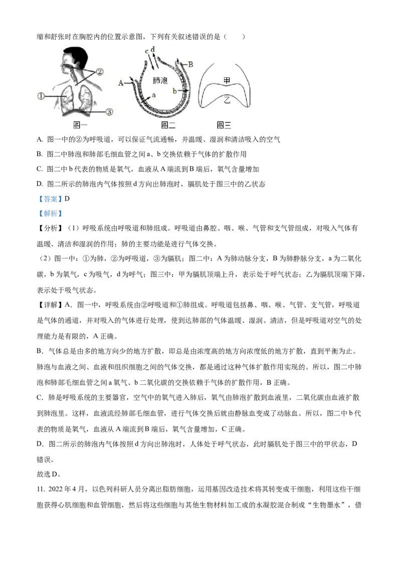 精品解析：2022年湖南省益阳市中考生物真题（解析版）_6生物中考复习_2025中考复习资料_中考真题（近三年）_2022年生物中考真题114份_精品解析：2022年湖南省益阳市中考生物真题