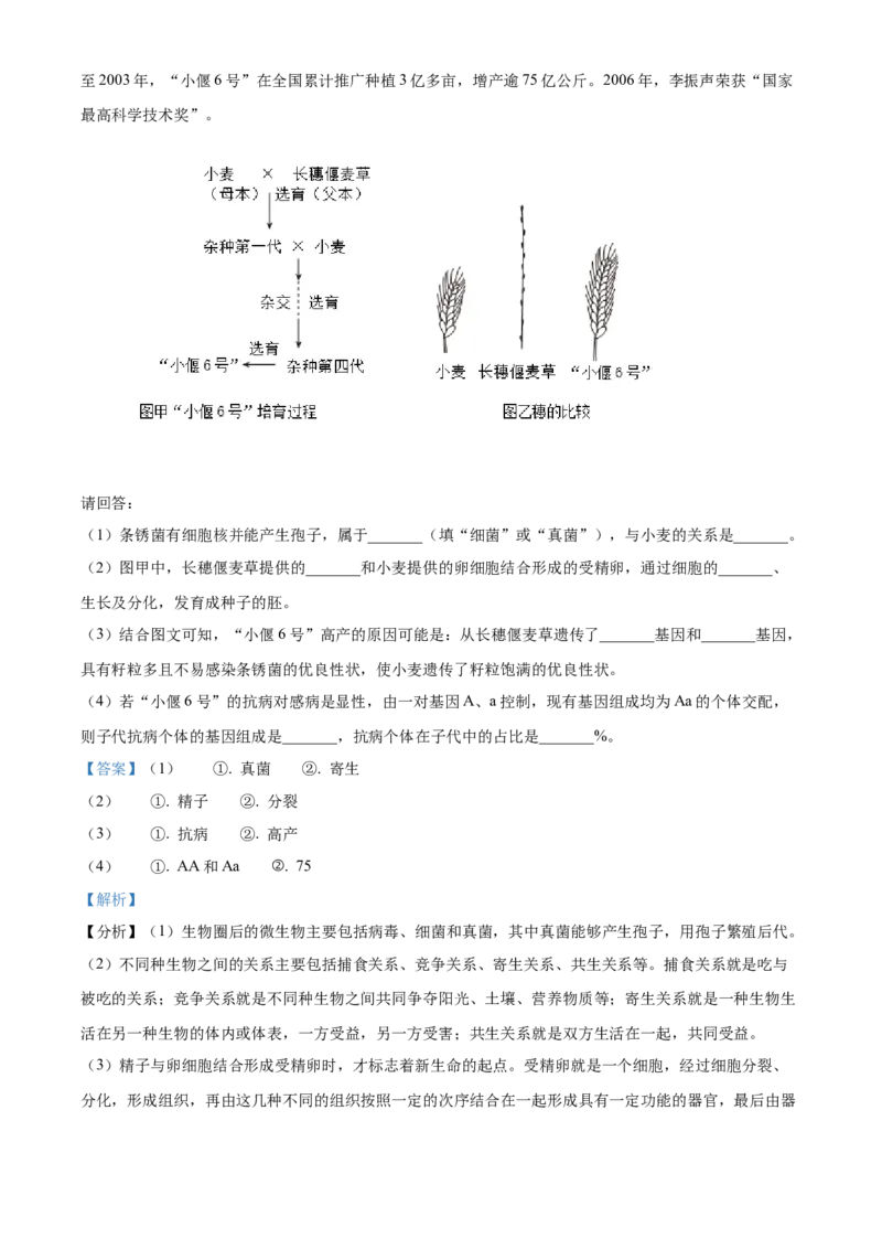 精品解析：2024年广东省中考生物真题（解析版）_new_6生物中考复习_2025中考复习资料_中考真题（近三年）_2024年生物中考真题