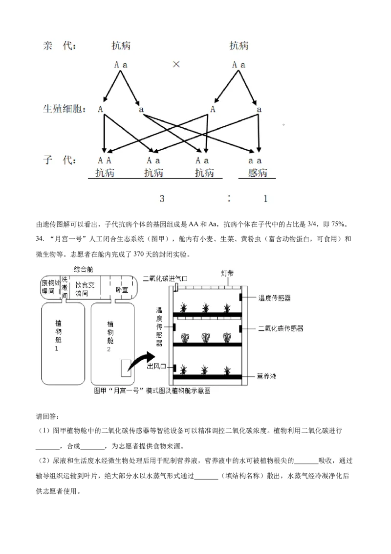 精品解析：2024年广东省中考生物真题（解析版）_new_6生物中考复习_2025中考复习资料_中考真题（近三年）_2024年生物中考真题