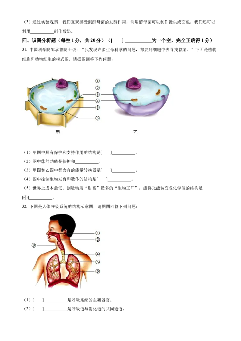 精品解析：2024年黑龙江省齐齐哈尔市中考生物真题（原卷版）_new_6生物中考复习_2025中考复习资料_中考真题（近三年）_2024年生物中考真题
