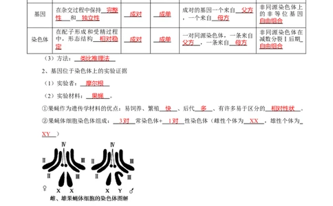 题型14基因定位（知识点归纳）（解析版）_新高考复习资料_2023年新高考复习资料_二轮复习_技巧点拨备战2023年高考生物二轮题型复习讲解286731240