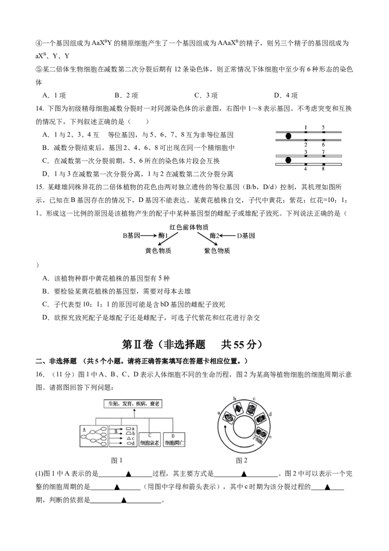 高2024级高一3月月考检测试卷-生物_2025年04月试卷_0417四川省雅安中学2024-2025学年高一下学期3月月考_四川省雅安中学2024-2025学年高一下期3月考试生物试题