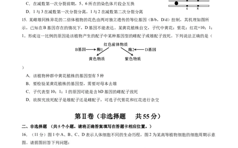高2024级高一3月月考检测试卷-生物_2025年04月试卷_0417四川省雅安中学2024-2025学年高一下学期3月月考_四川省雅安中学2024-2025学年高一下期3月考试生物试题