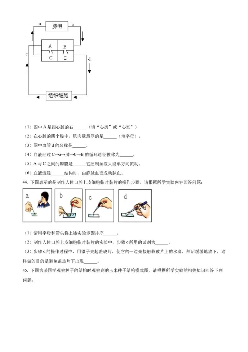 精品解析：2022年黑龙江省牡丹江、鸡西地区朝鲜族学校联合体中考生物真题（原卷版）_6生物中考复习_2025中考复习资料_中考真题（近三年）_2022年生物中考真题114份
