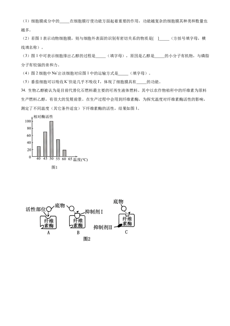 重庆市主城区七校联考2024-2025学年高一上学期期末考试生物试题Word版无答案_2025年03月试卷_0313重庆市主城区七校联考2024-2025学年高一上学期期末考试