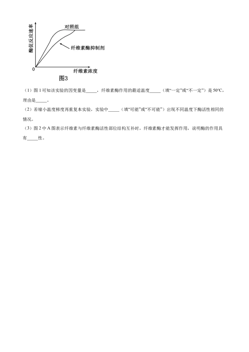 重庆市主城区七校联考2024-2025学年高一上学期期末考试生物试题Word版无答案_2025年03月试卷_0313重庆市主城区七校联考2024-2025学年高一上学期期末考试