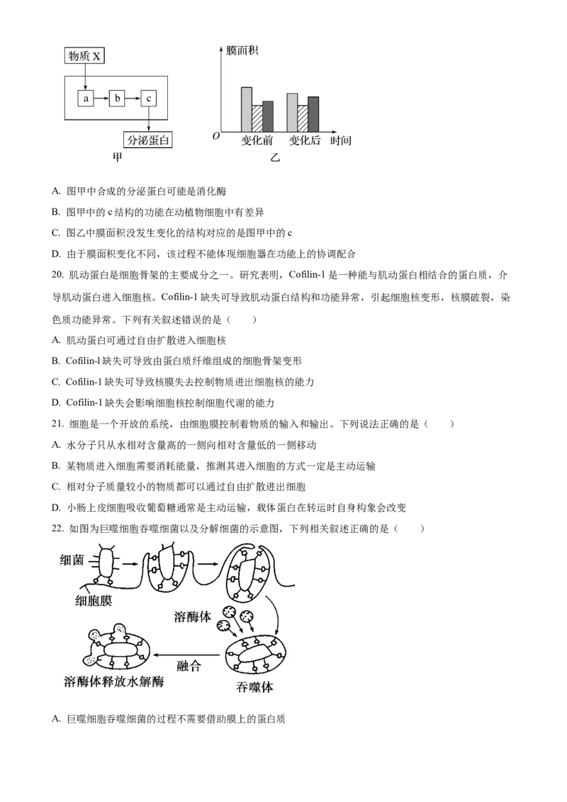 重庆市主城区七校联考2024-2025学年高一上学期期末考试生物试题Word版无答案_2025年03月试卷_0313重庆市主城区七校联考2024-2025学年高一上学期期末考试