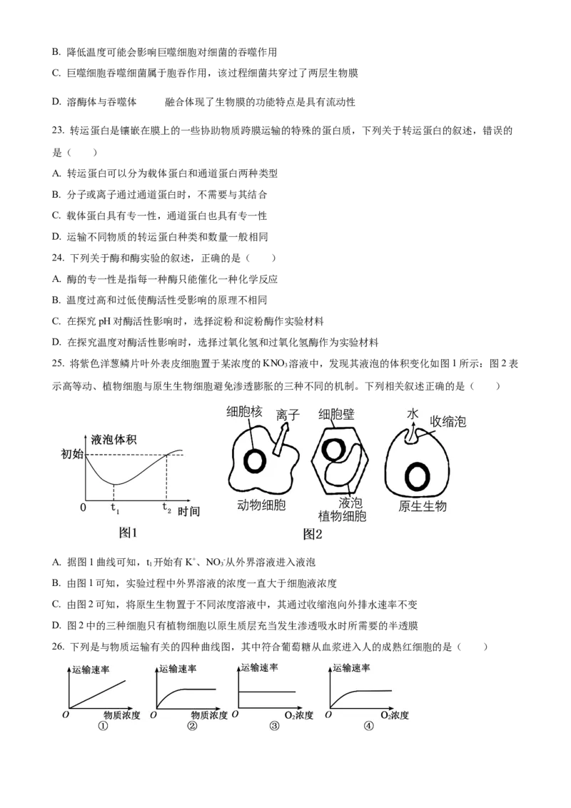 重庆市主城区七校联考2024-2025学年高一上学期期末考试生物试题Word版无答案_2025年03月试卷_0313重庆市主城区七校联考2024-2025学年高一上学期期末考试