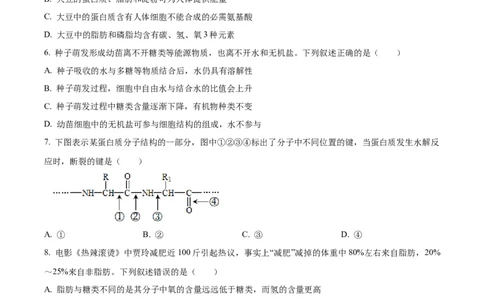 重庆市主城区七校联考2024-2025学年高一上学期期末考试生物试题Word版无答案_2025年03月试卷_0313重庆市主城区七校联考2024-2025学年高一上学期期末考试