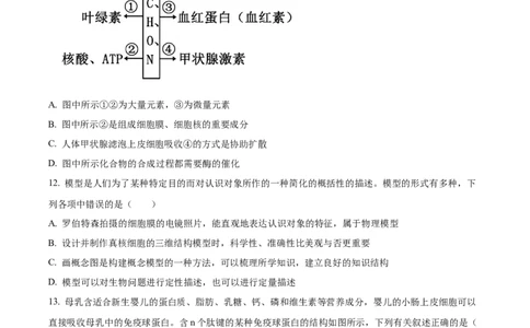 重庆市主城区七校联考2024-2025学年高一上学期期末考试生物试题Word版无答案_2025年03月试卷_0313重庆市主城区七校联考2024-2025学年高一上学期期末考试