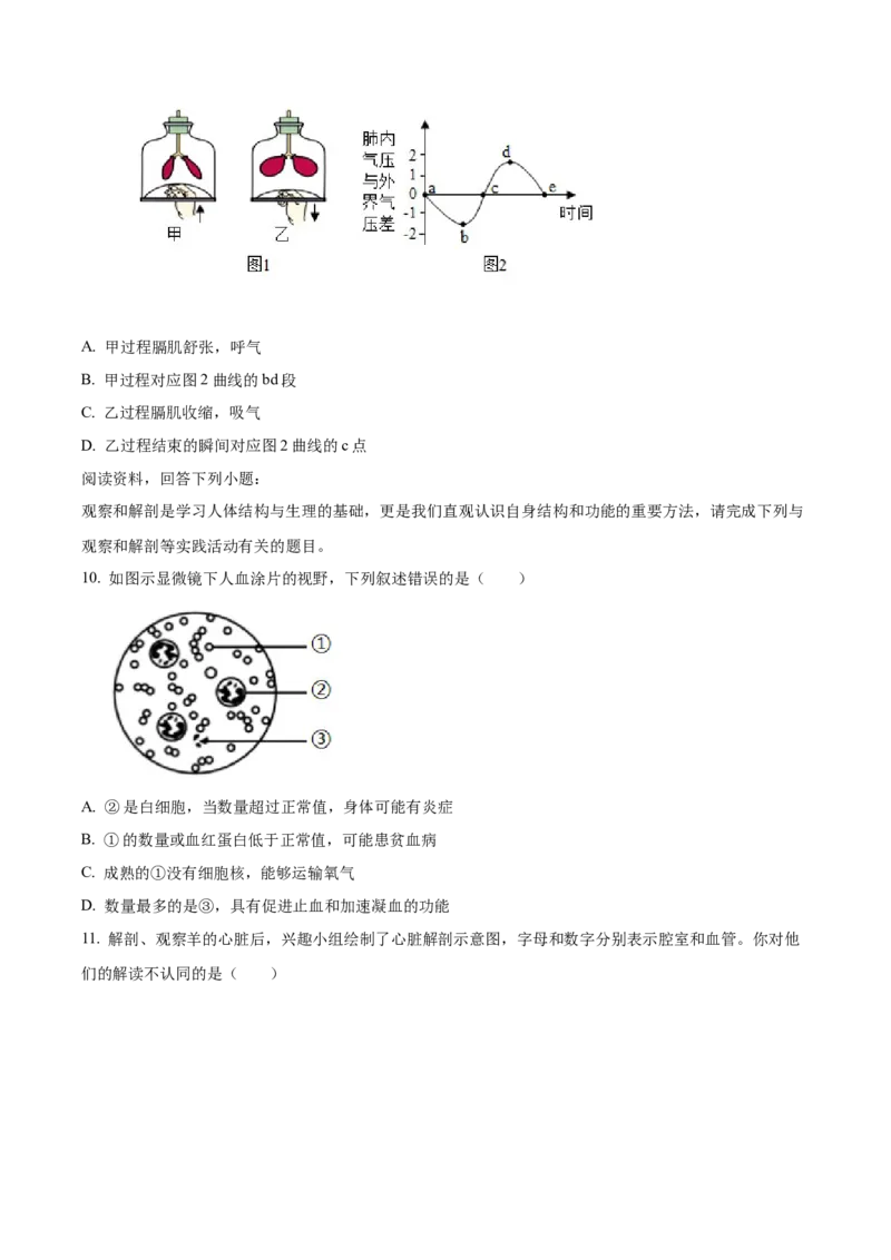 精品解析：2024年山东省临沂市中考生物真题（原卷版）_new_6生物中考复习_2025中考复习资料_中考真题（近三年）_2024年生物中考真题