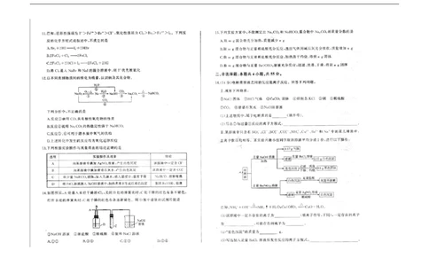 高一化学_2025年11月高一试卷_251114辽宁省点石联考2025-2026学年高一上学期11月期中考试（全）_辽宁省点石联考2025-2026学年高一上学期11月期中化学试题（图片版，含解析）