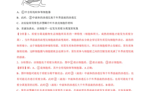 题型3物质进出细胞的方式（题型集训）（解析版）_新高考复习资料_2023年新高考复习资料_二轮复习_技巧点拨备战2023年高考生物二轮题型复习讲解286731240