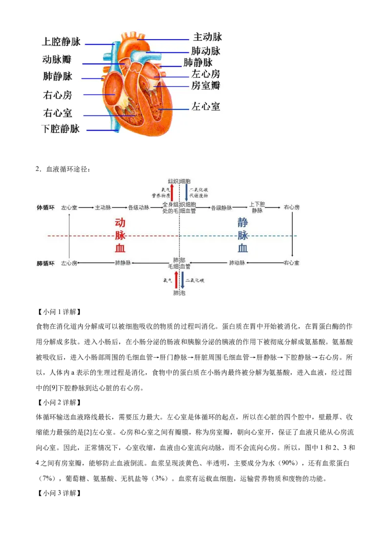 精品解析：2022年辽宁省盘锦市中考生物真题（解析版）_6生物中考复习_2025中考复习资料_中考真题（近三年）_2022年生物中考真题114份_精品解析：2022年辽宁省盘锦市中考生物真题