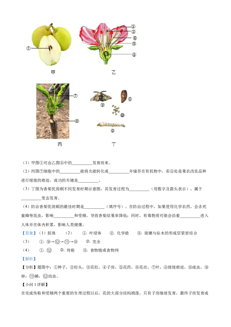 精品解析：2023年新疆维吾尔自治区新疆生产建设兵团中考生物真题（解析版）_new_6生物中考复习_2025中考复习资料_中考真题（近三年）_2023年生物中考真题