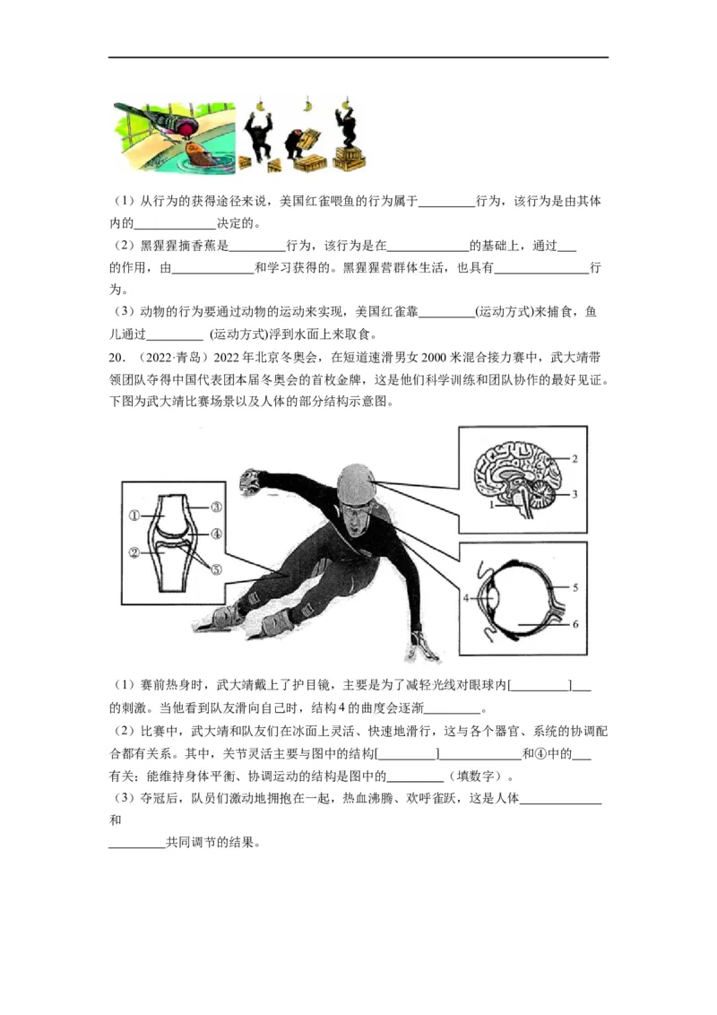 重难点06动物的运动和行为-2023年中考生物热点&middot;重点&middot;难点专练（全国通用）（原卷版）_6生物中考复习_2023年中考复习资料_专项复习