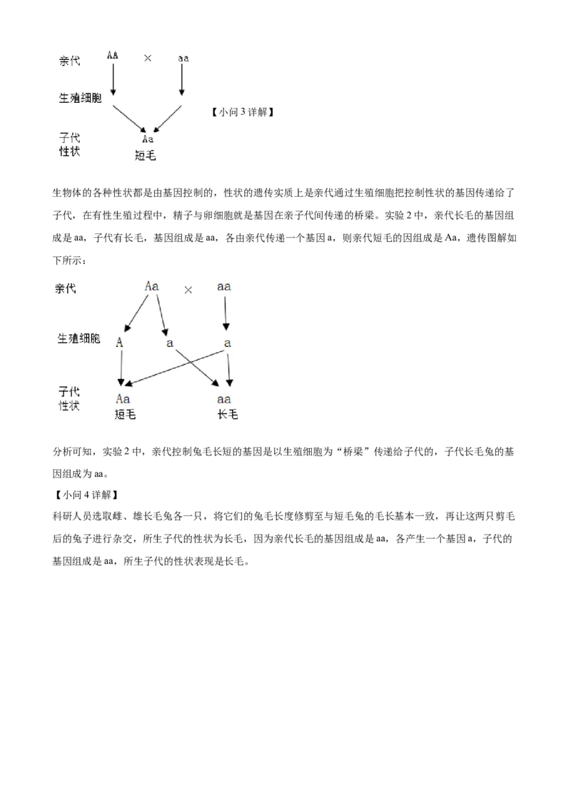 精品解析：2023年湖北省随州市中考生物真题（解析版）_new_6生物中考复习_2025中考复习资料_中考真题（近三年）_2023年生物中考真题