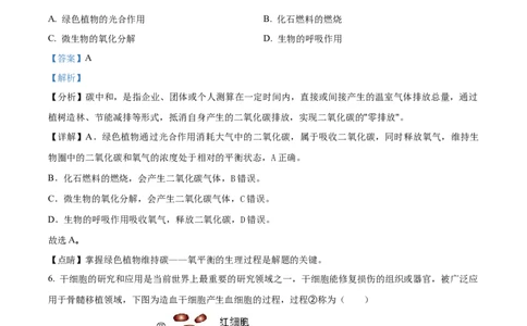 精品解析：2023年湖北省随州市中考生物真题（解析版）_new_6生物中考复习_2025中考复习资料_中考真题（近三年）_2023年生物中考真题