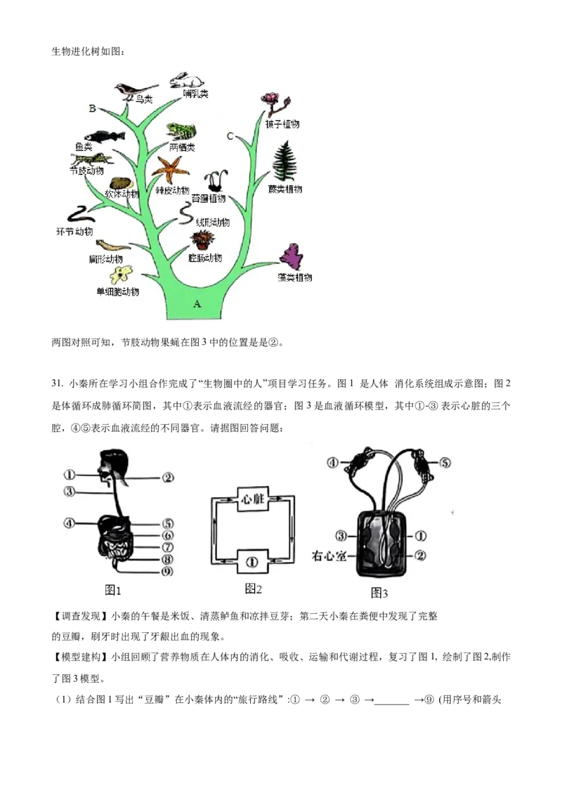 精品解析：2023年陕西省中考生物真题（解析版）_new_6生物中考复习_2025中考复习资料_中考真题（近三年）_2023年生物中考真题